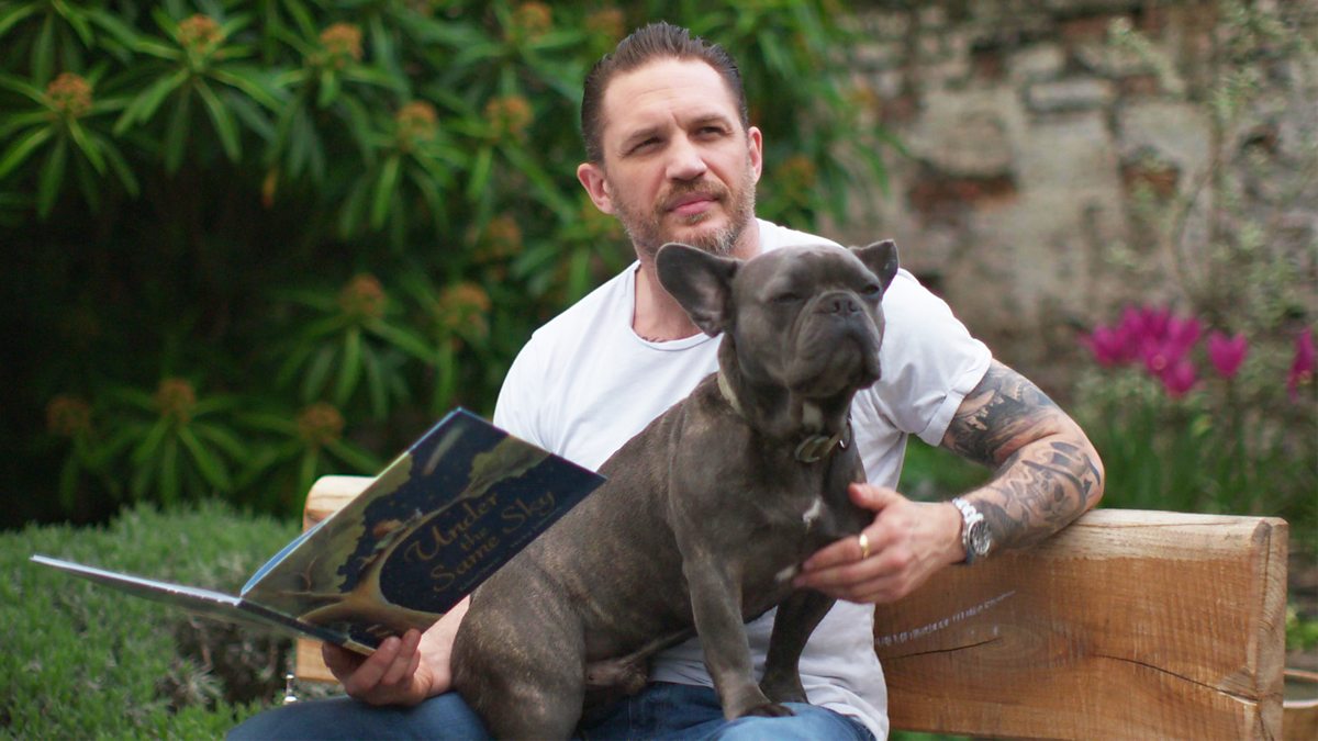 CBeebies Bedtime Stories - F-J: Tom Hardy - Under the Same Sky - Signed ...