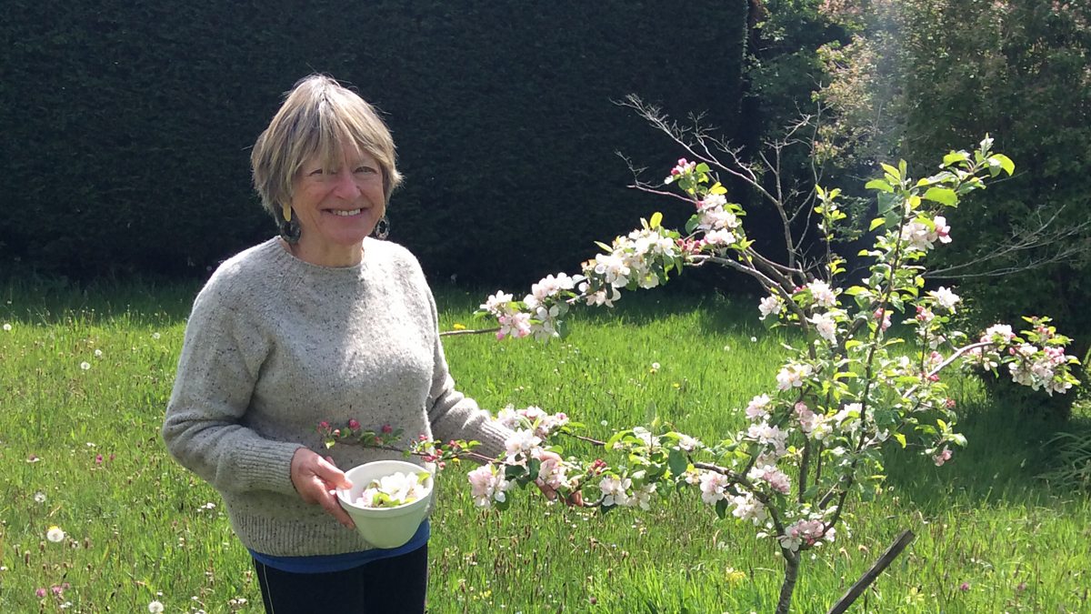 BBC Radio 4 - The Food Programme, The Kitchen Front: How wartime food ...