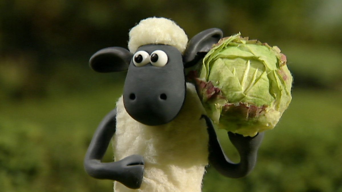 Shaun The Sheep Series 1 1 Off The Baa Bbc Iplayer