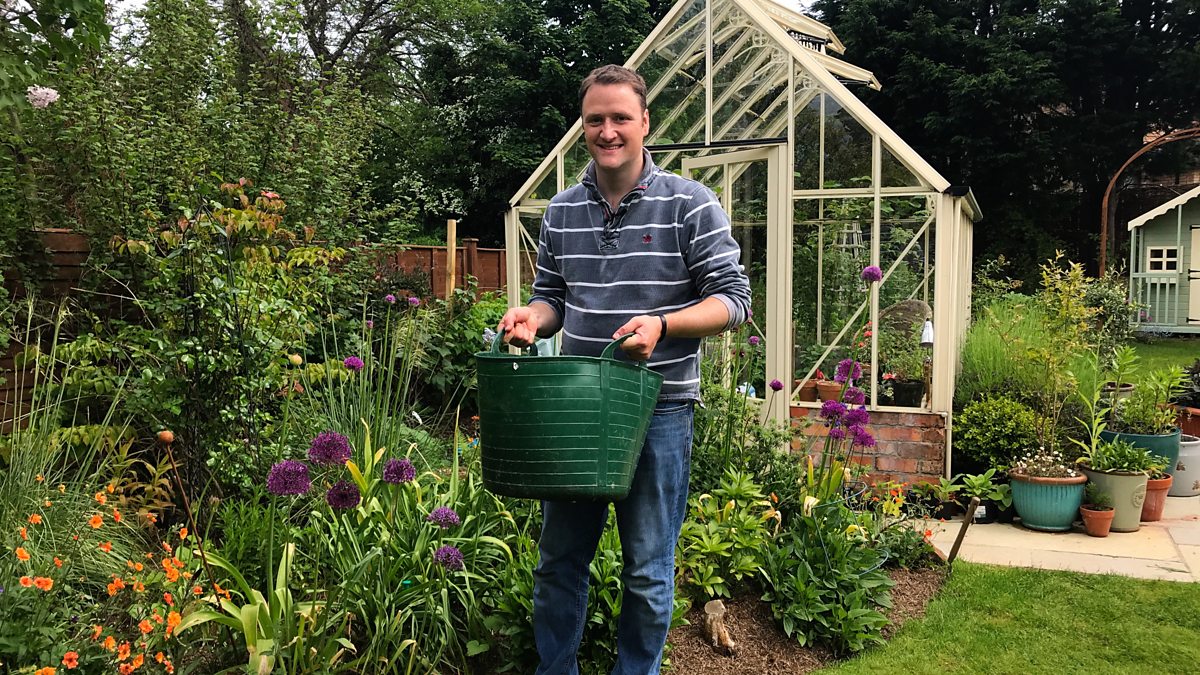 BBC Radio Ulster Gardeners' Corner, Therapy garden, perfect paths and