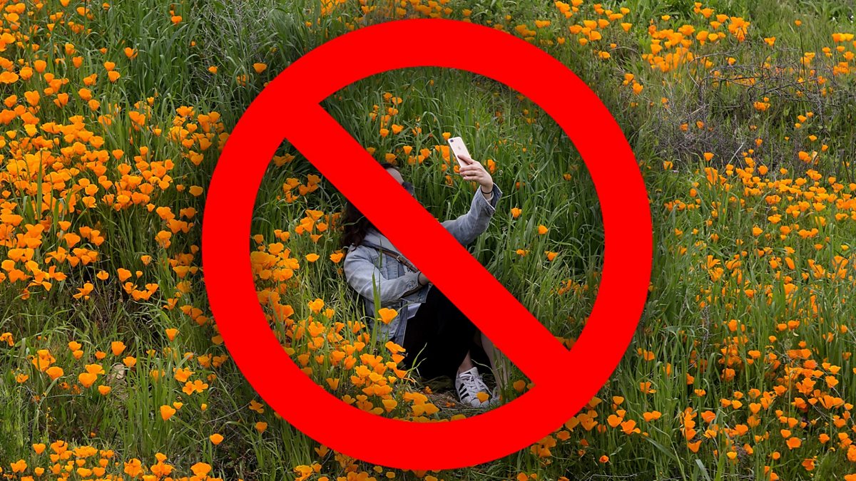 BBC World Service - Trending, Are Instagrammers ruining nature?