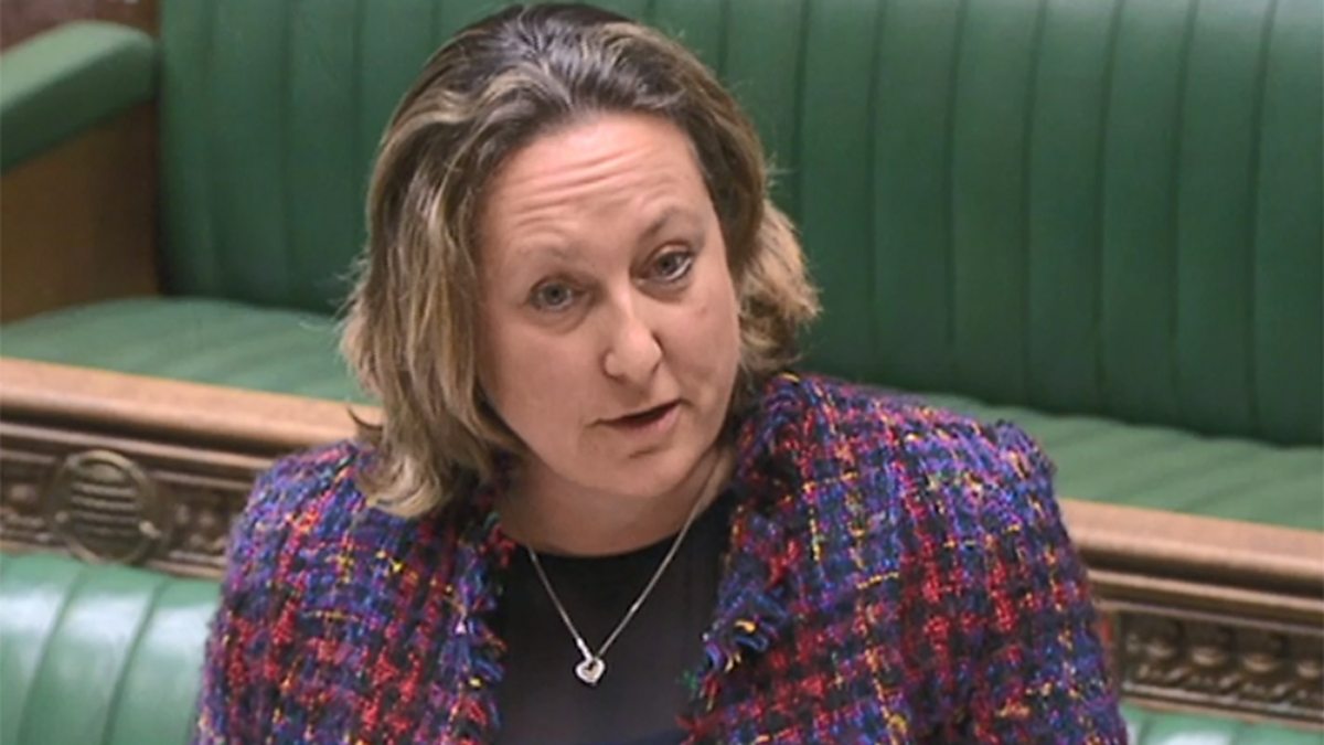 BBC Parliament - House of Commons, International Development Questions