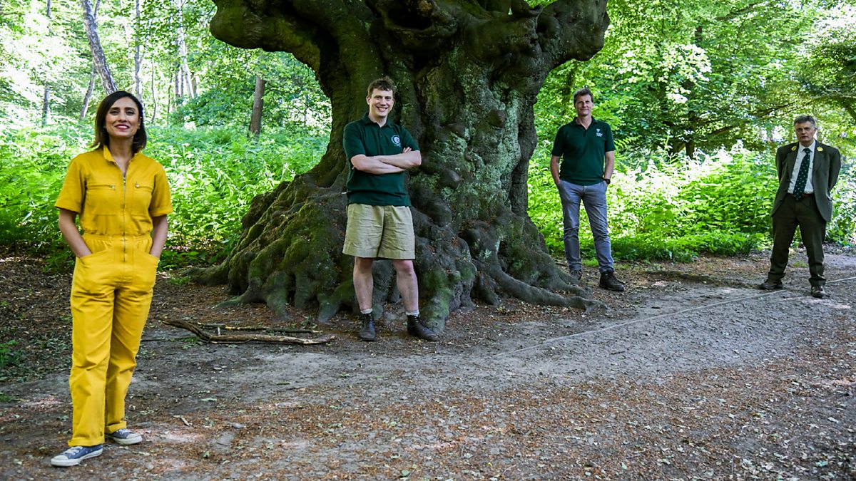 BBC One Countryfile, Epping Forest