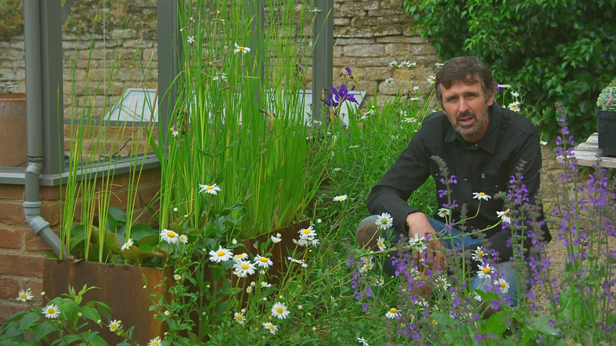 BBC Two Gardeners' World, 2020, Episode 15, Dipping tank