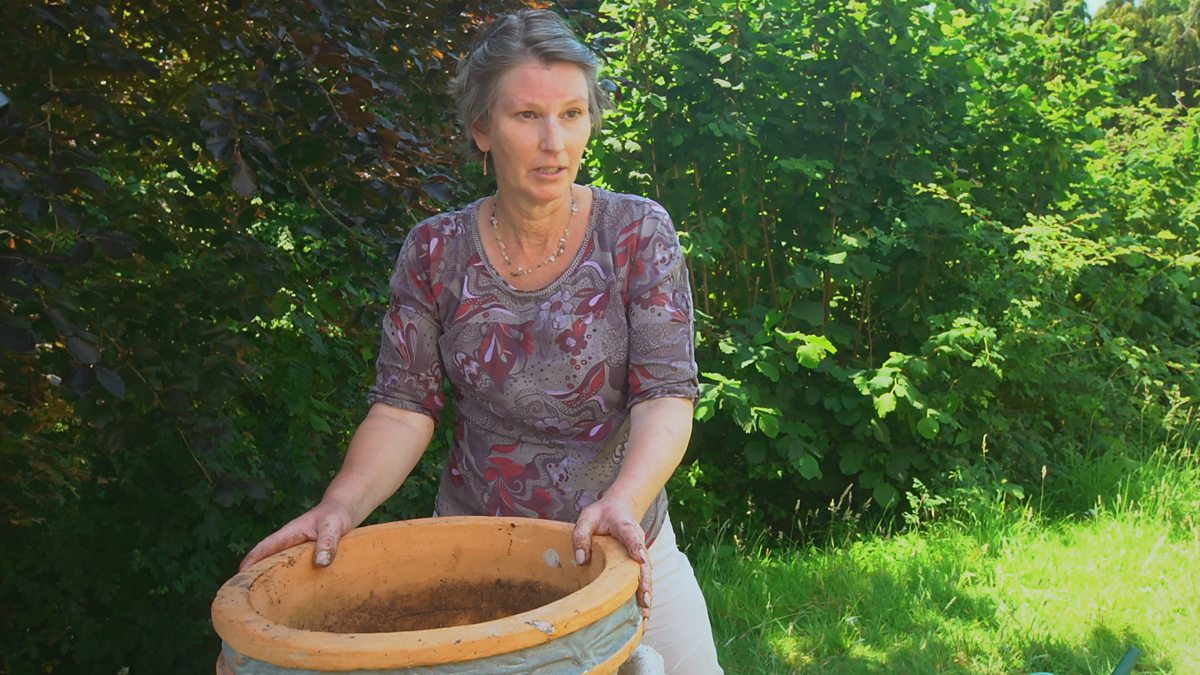 BBC Two Gardeners' World, 2020, Episode 17, Selfwatering pot