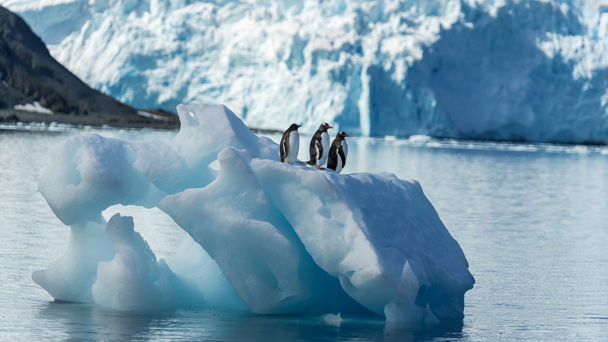 BBC World Service - More or Less, Melting Antarctic ice