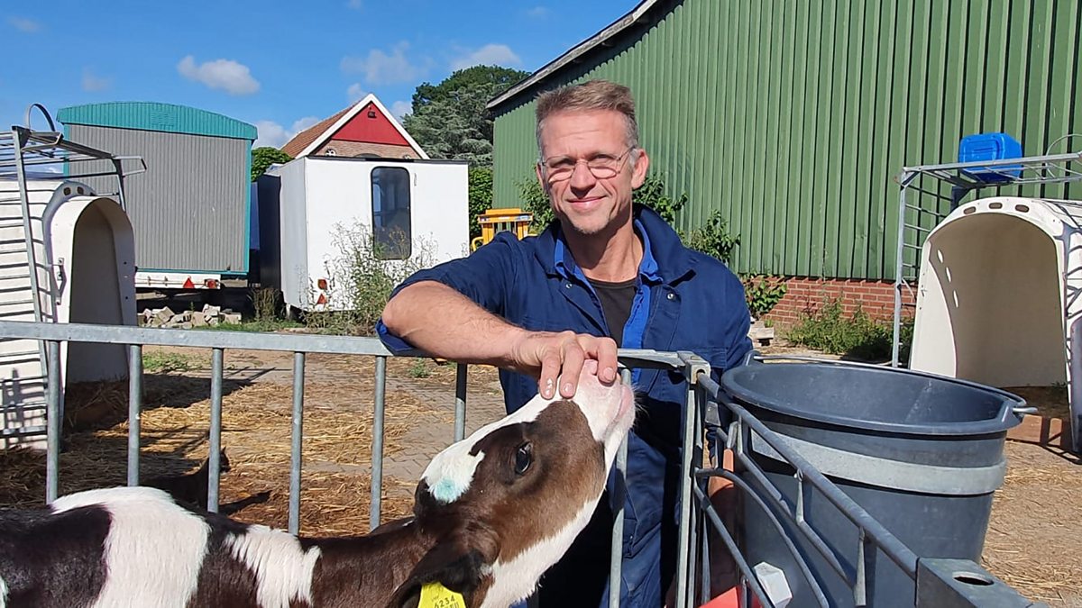 Bbc dutch farmers