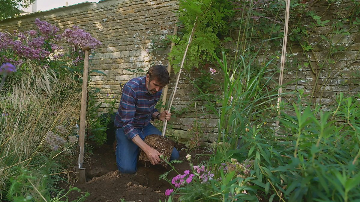 BBC Two Gardeners' World, 2020, Episode 25, Tree planting