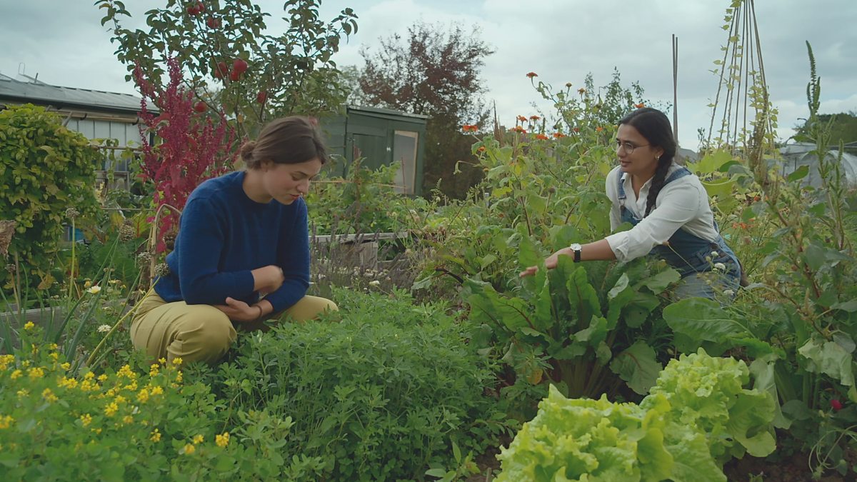 BBC Two Gardeners' World, 2020, Episode 27, Rekha Mistry's allotment