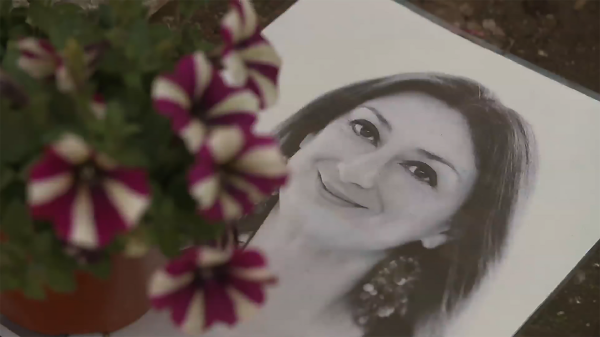 BBC News Storyville Global, Daphne A Pen Too Sharp