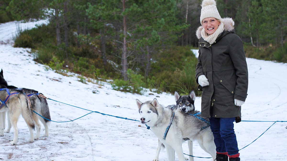 BBC Two - Mary Berry's Simple Comforts, Series 1, Winter Woodland