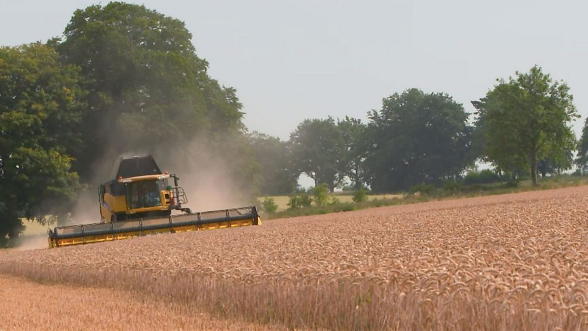 BBC One - Countryfile, Harvest Special