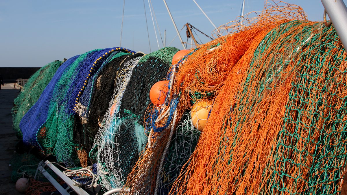 BBC World Service - Discovery, Marine conservationist Heather Koldewey,  Turning old plastic fishing nets into carpet tiles