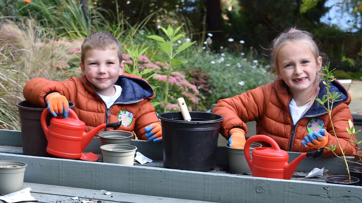 Cbeebies - Let's Go For A Walk, Series 3, Magical Door And Stompy 