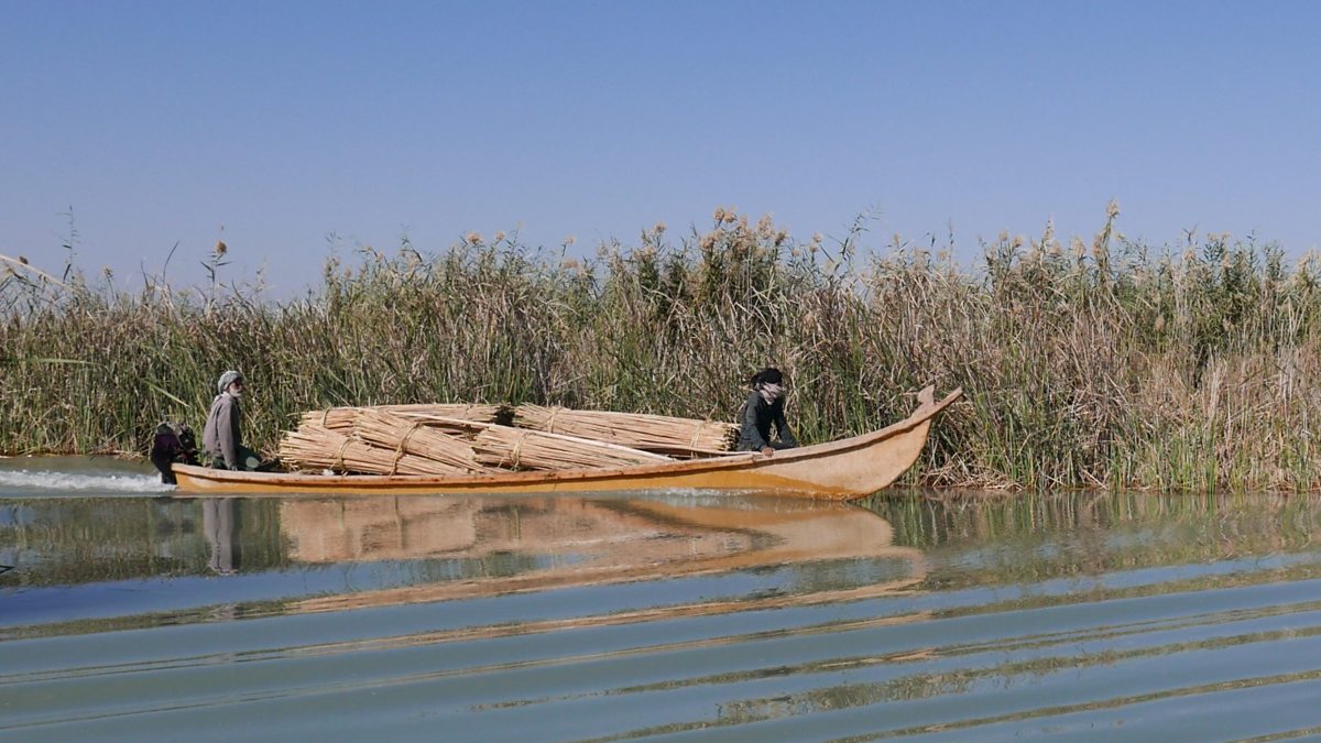 BBC World Service - Witness History, Saving the world's wetlands