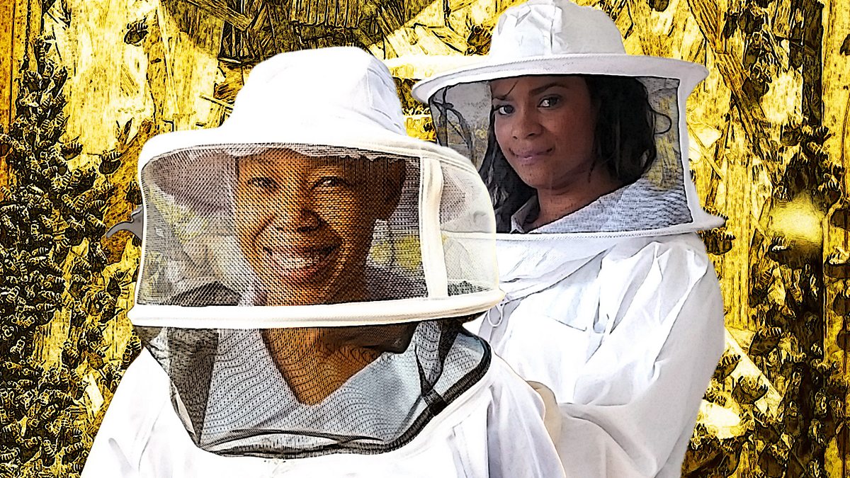 BBC World Service The Conversation, Sweet honey and queen bees