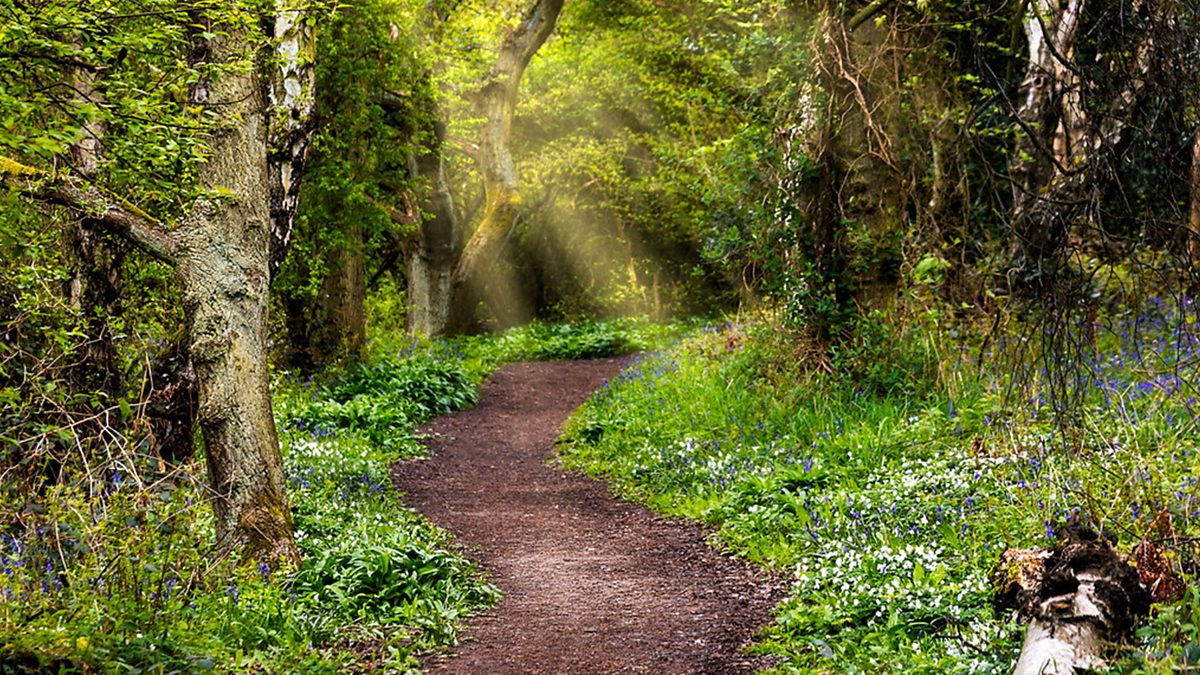 BBC Two - Springwatch, 2021, Episode 2 - Clips