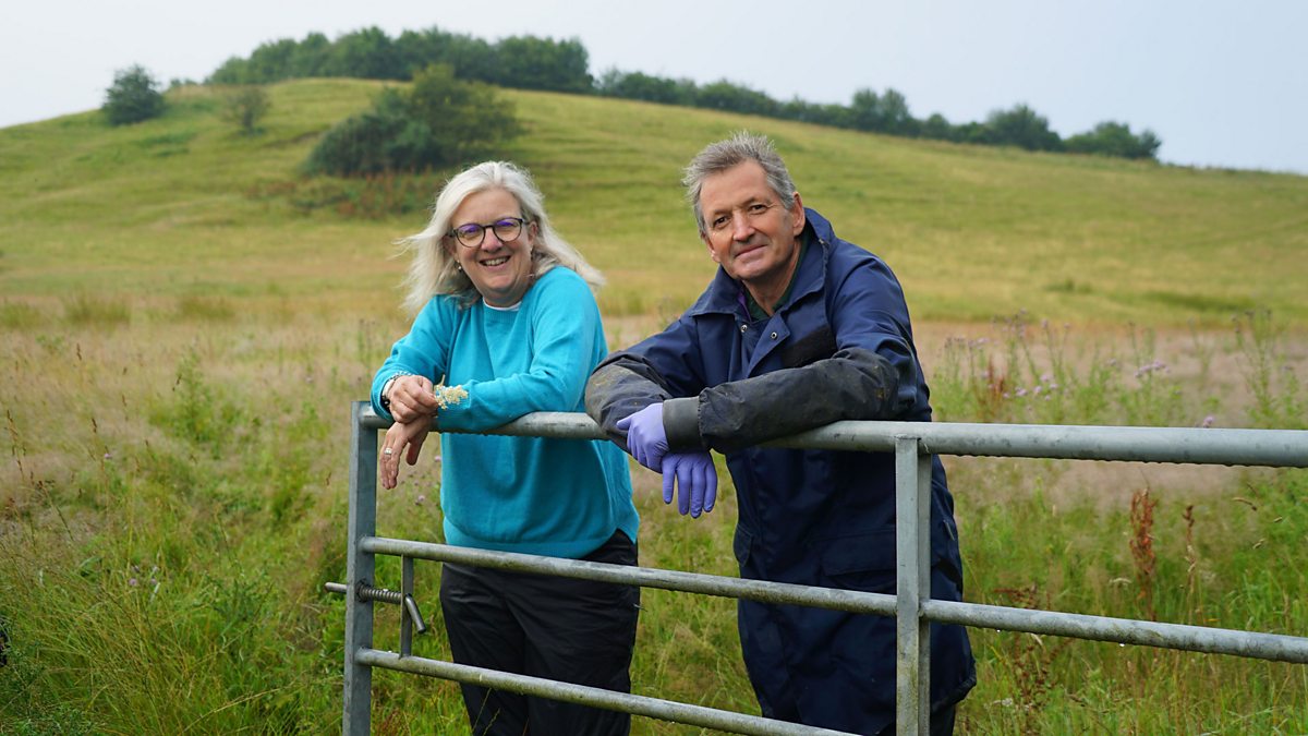 BBC Radio 4 On Your Farm, Food and Farming Awards finalist Hollis