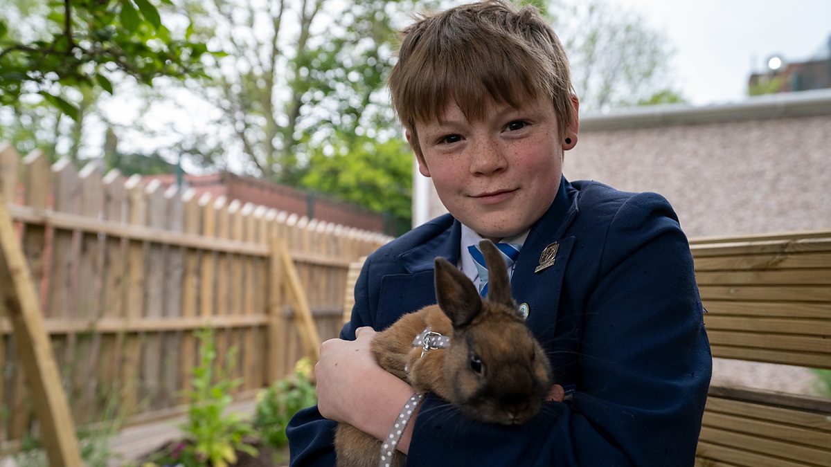 Our School - Series 7: 4. The Rabbit Whisperer - BBC iPlayer