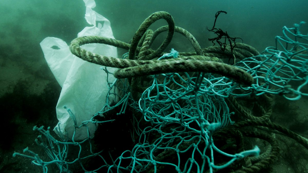 BBC Bitesize Bitesize Cymru Wales, Primary, What happens when