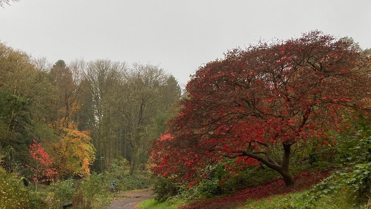bbc-weather-for-the-week-ahead