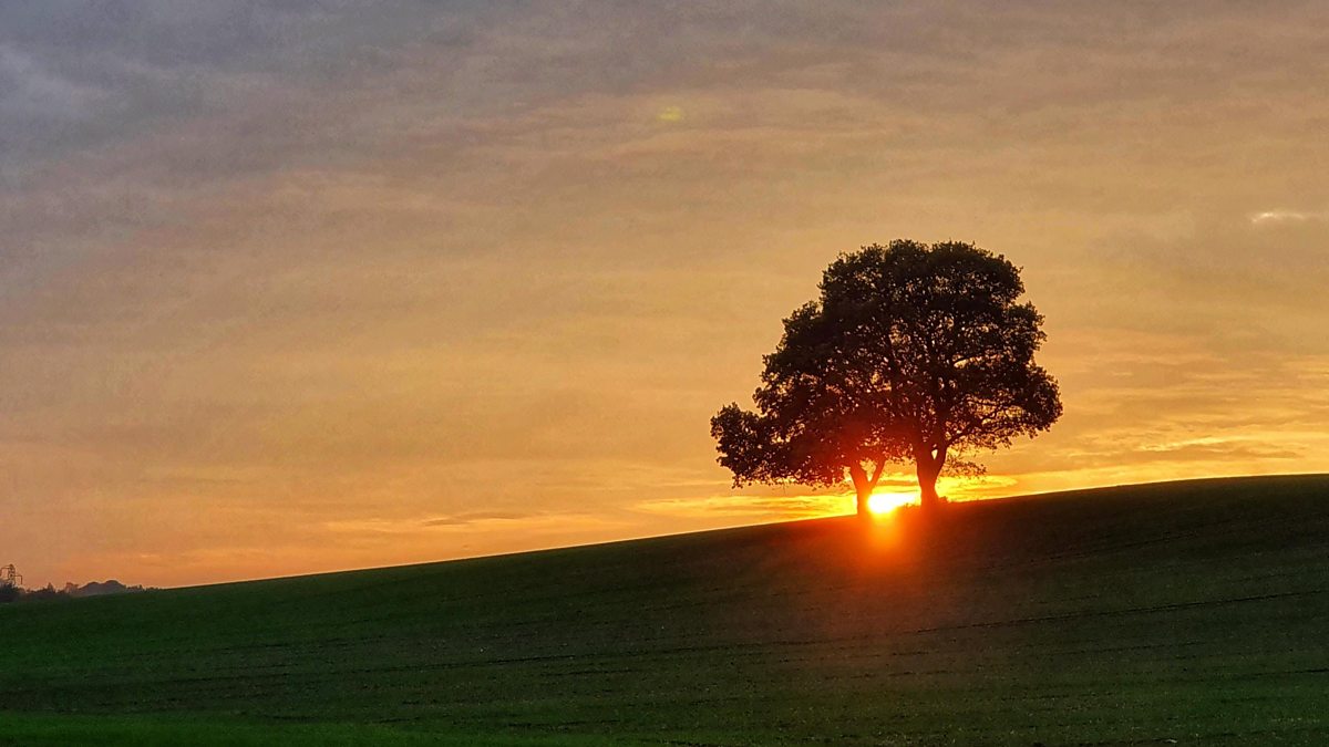 bbc-weather-for-the-week-ahead