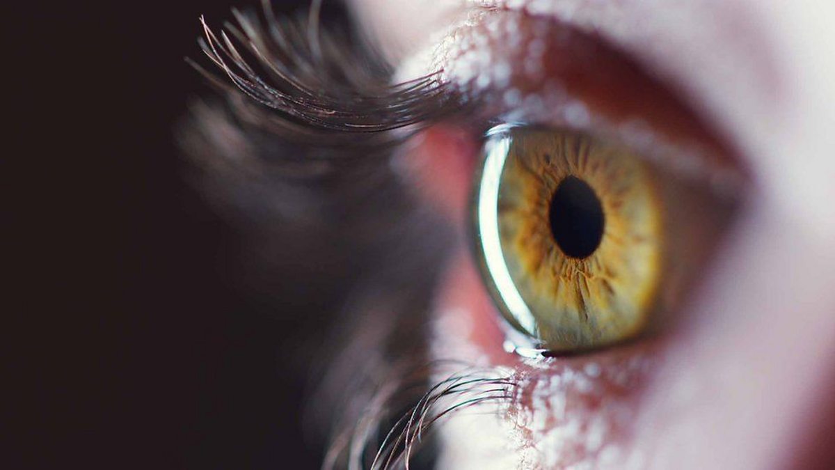 Study: Staring at deep red light can significantly improve declining  eyesight