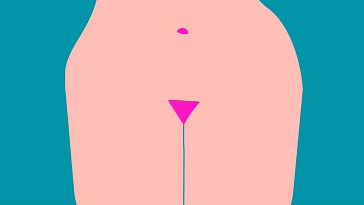 Do you know the difference between the vagina and the vulva?