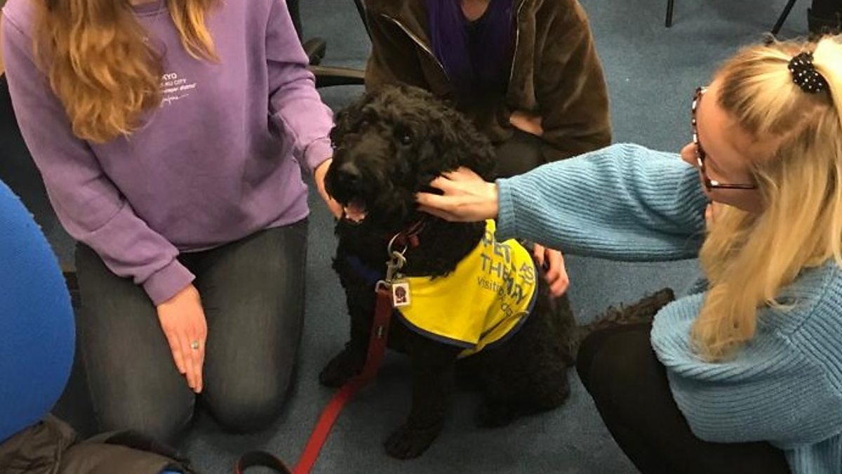 BBC Radio Devon Breakfast on BBC Radio Devon, with Gordon Sparks (26
