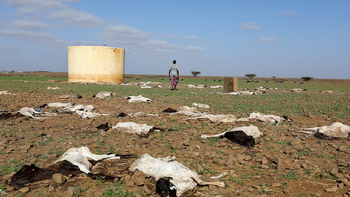 BBC World Service - Newsday, Horn of Africa drought causing a 'food ...