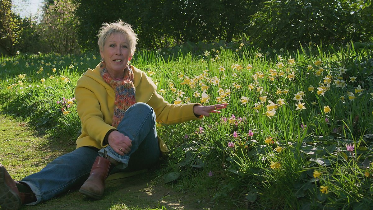 BBC Two - Gardeners' World, 2022, Episode 4, Ground-cover plants