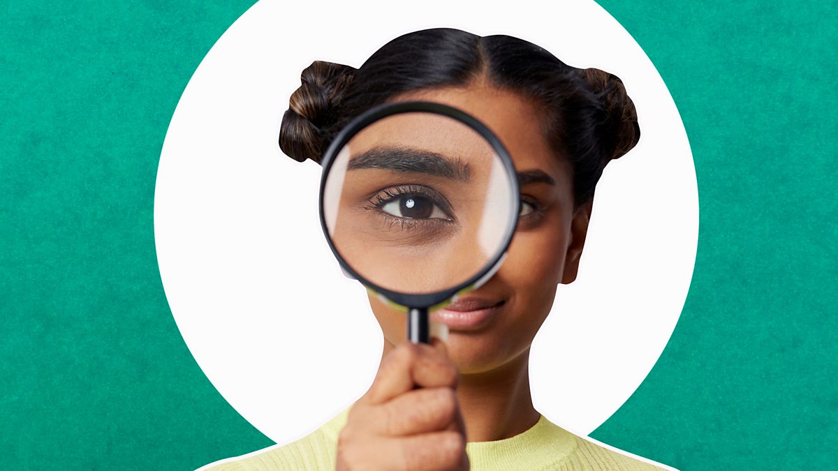 BBC Radio Learning English Conversations, Not see hide nor hair