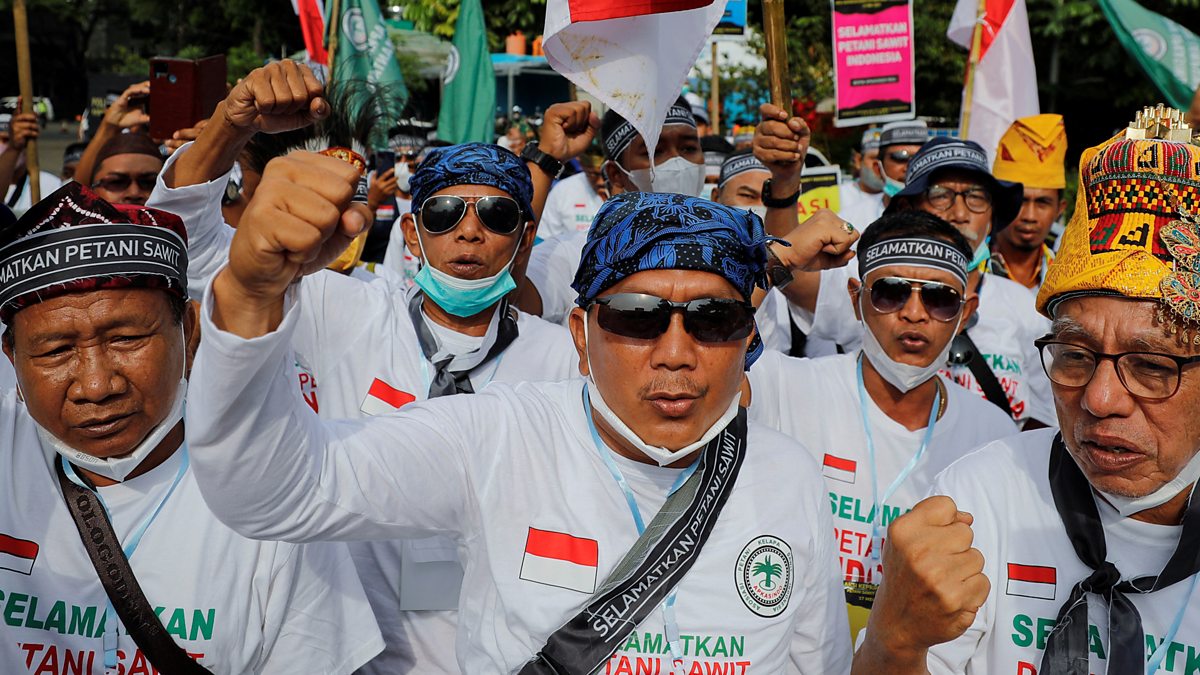 BBC World Service - Global News Podcast, Protests As Indonesia's Palm ...