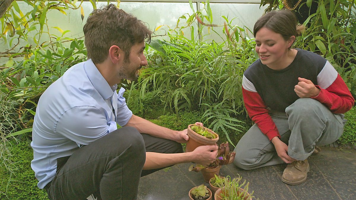 BBC Two Gardeners