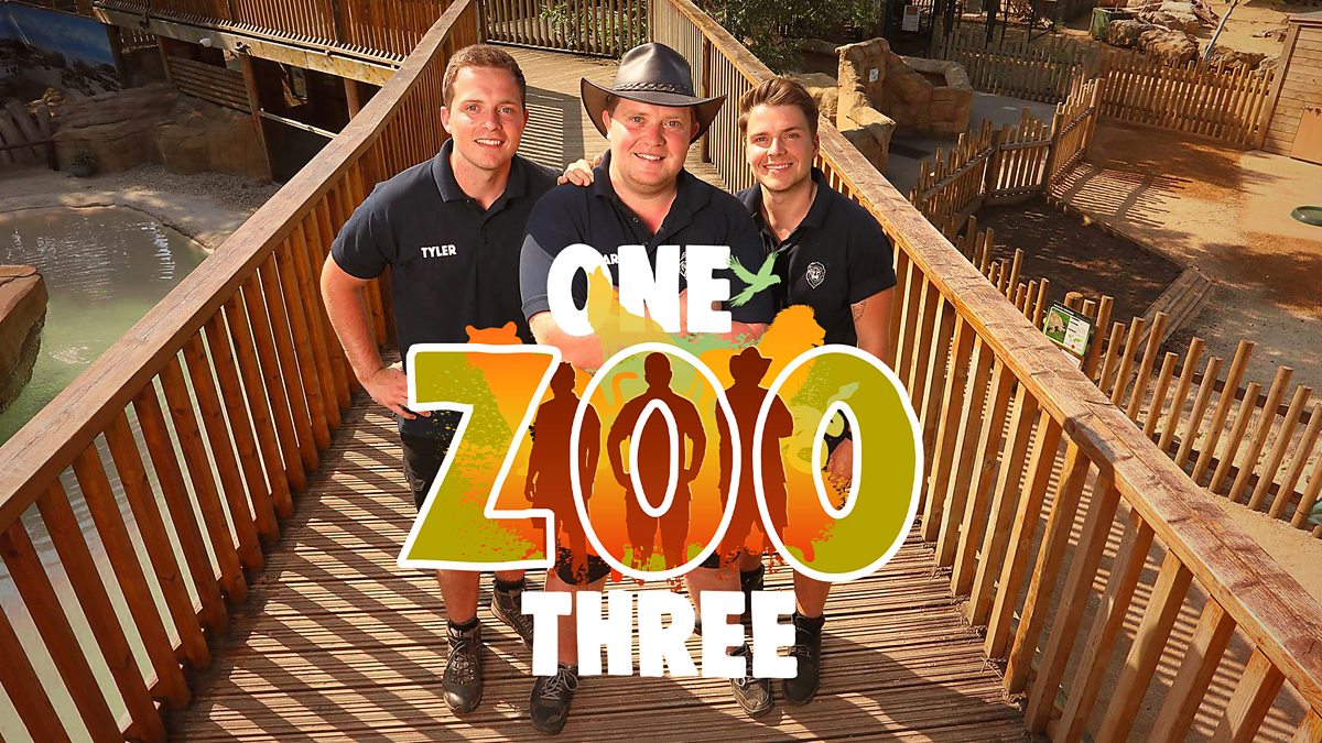 CBBC One Zoo Three, One Zoo Three... it's here!