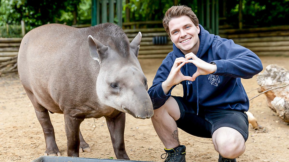 One Zoo Three - Series 2: 8. Perfect Partners - BBC iPlayer