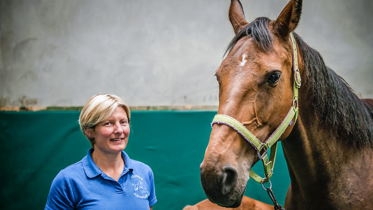 BBC Two Mountain Vets, Series 3, Episode 6