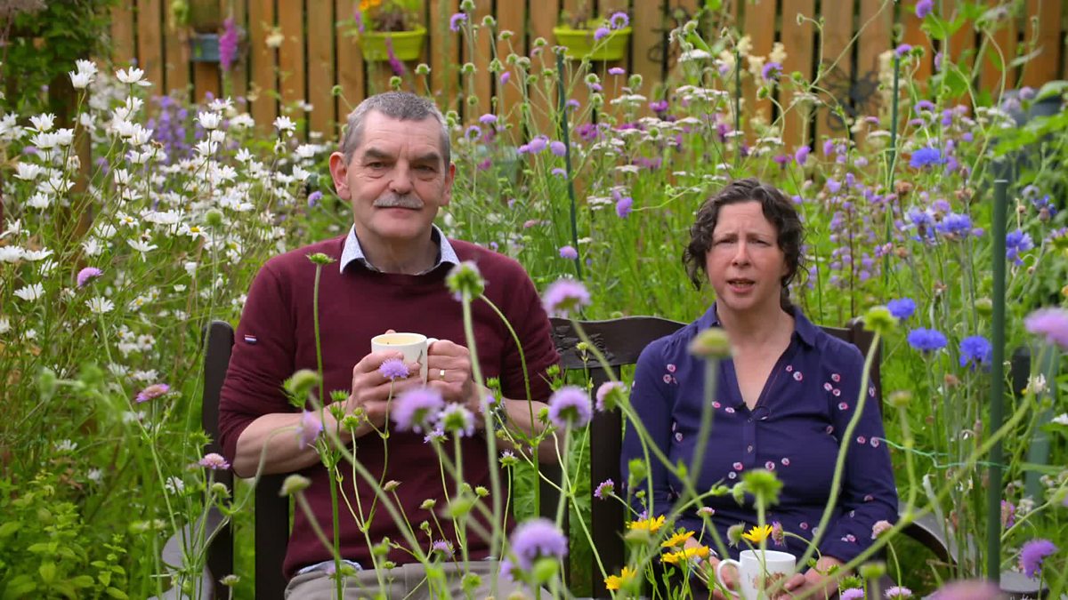 BBC Scotland Beechgrove Garden, 2022, Episode 17, A wildflower meadow