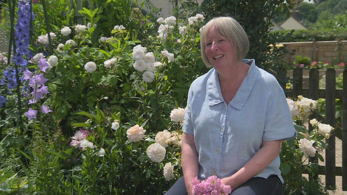 How to Grow Roses  BBC Gardeners World Magazine