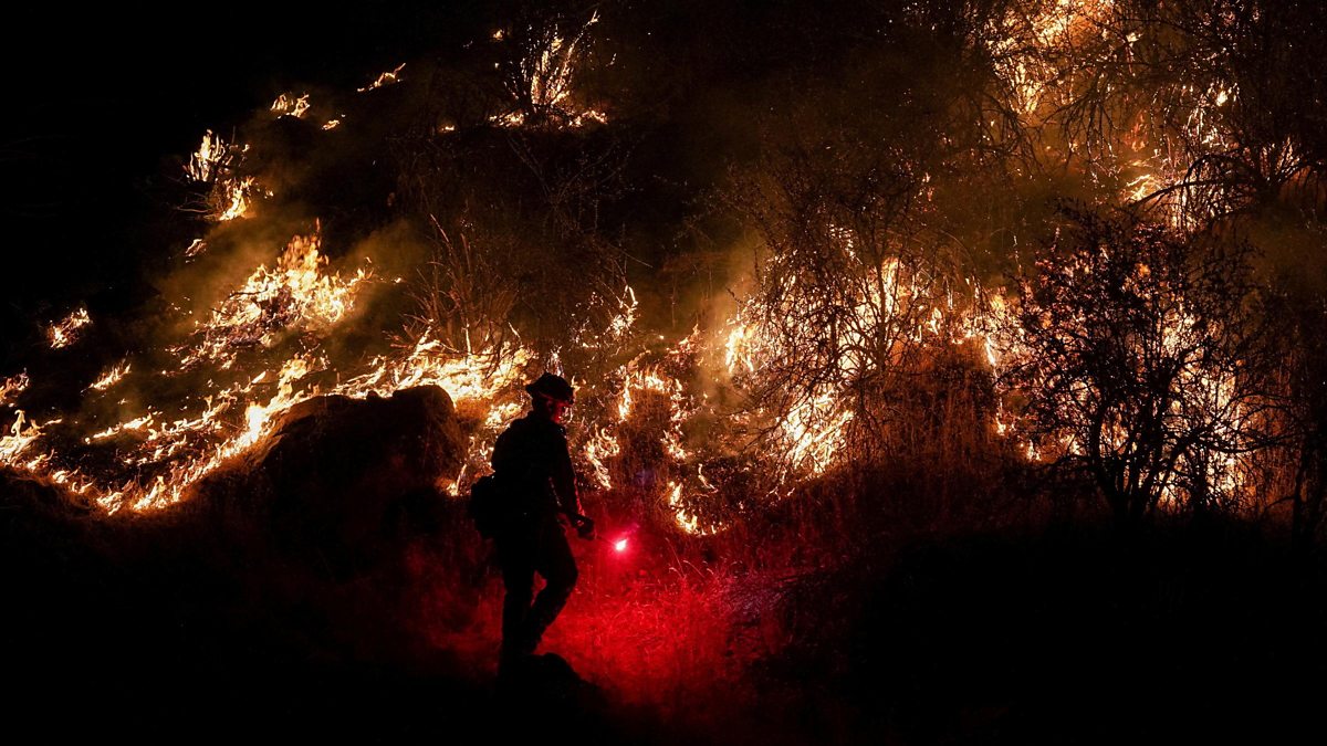 Light on fire. Fire Burns. Fire Lighting