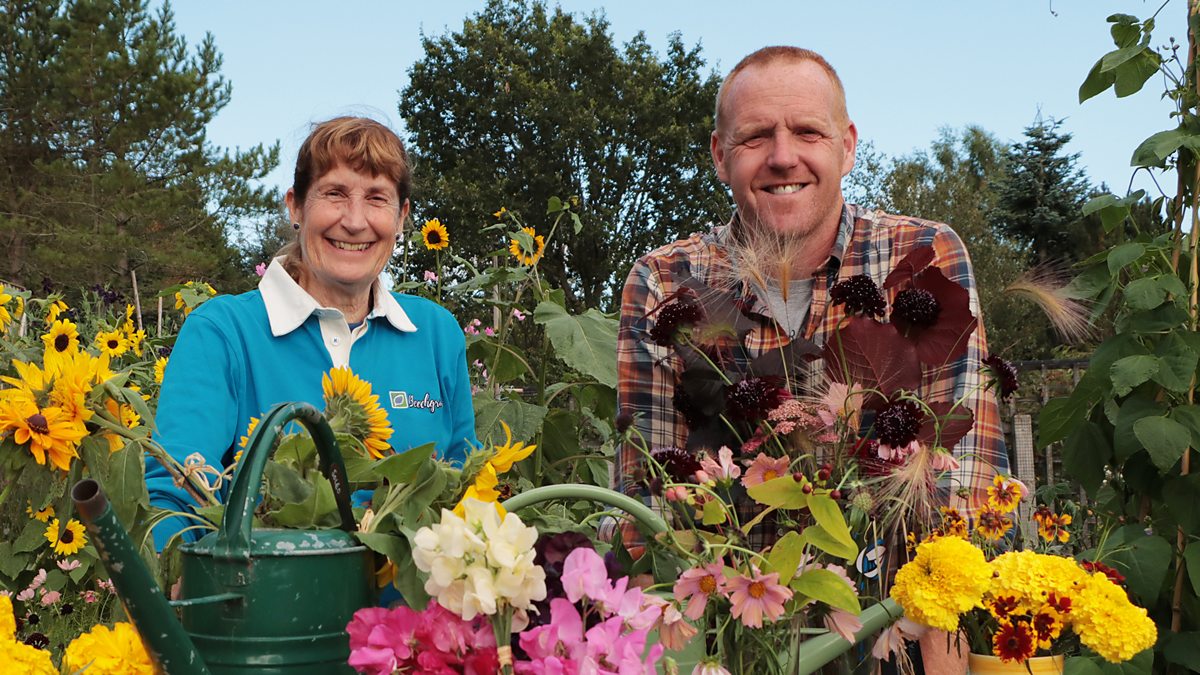 Beechgrove Garden - 2022: Episode 22 - BBC iPlayer