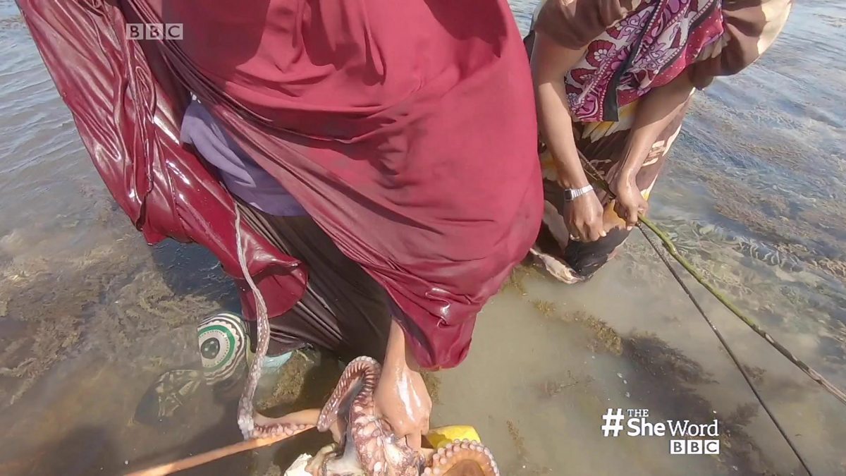 Bbc World Service Tv The Sheword Women In Lamu Kenya Reaping Big From Octopus Conservation