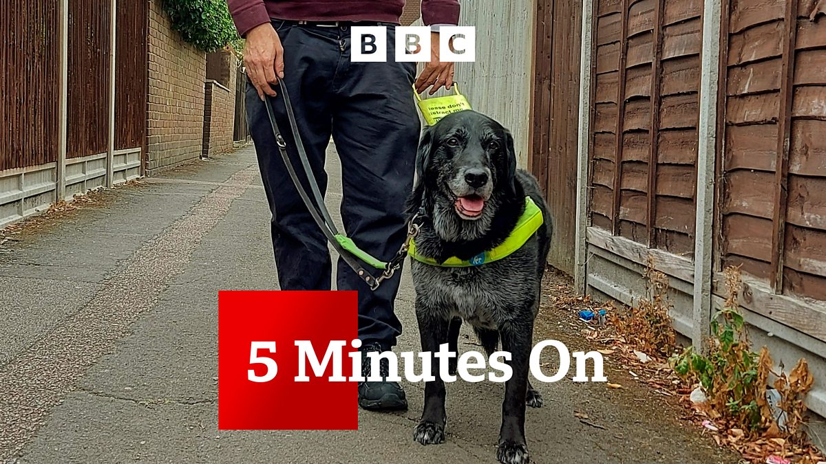 BBC News 5 Minutes On, The final walk with my guide dog