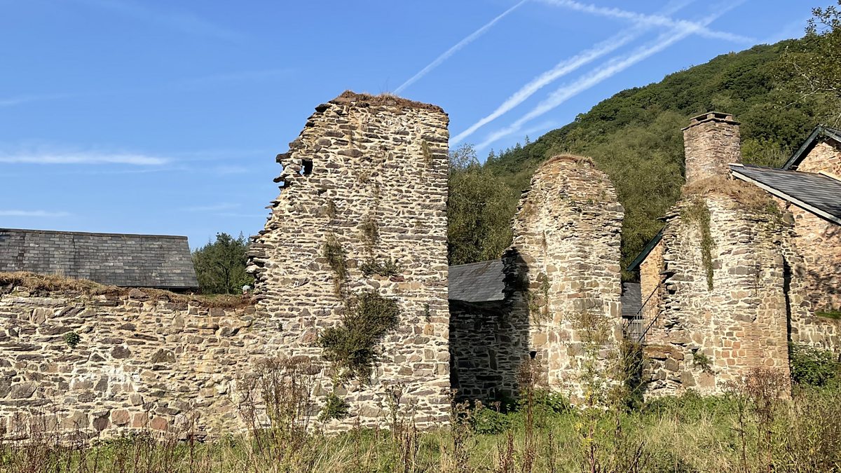 BBC Radio Somerset - Luke Knight, History Corner: Barlynch Priory