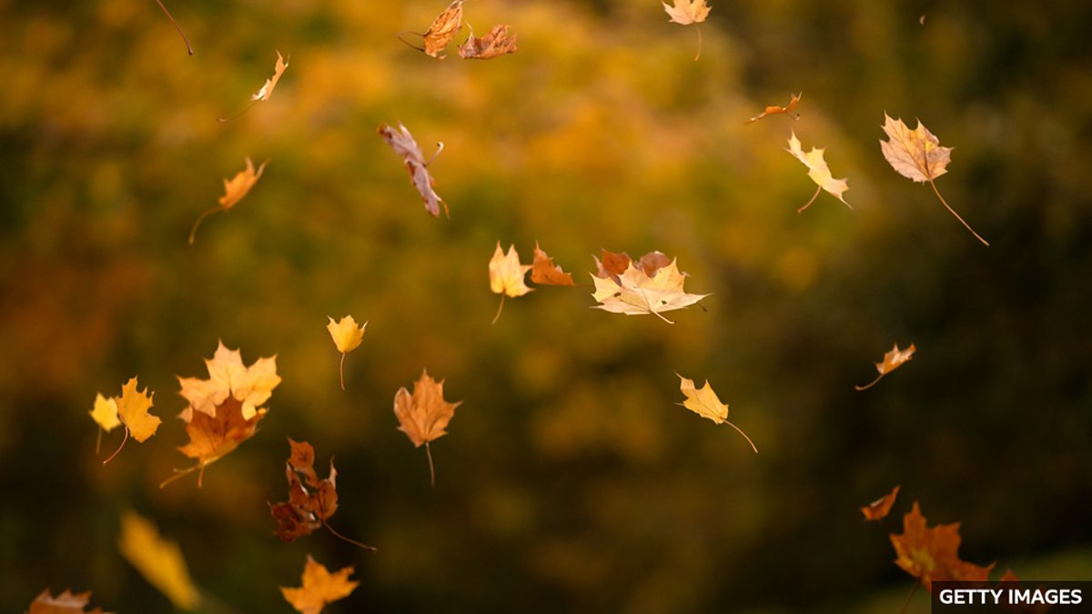 BBC - BBC Learning English, BBC English In A Minute “一分钟英语”: 单词 fall 的常见用法