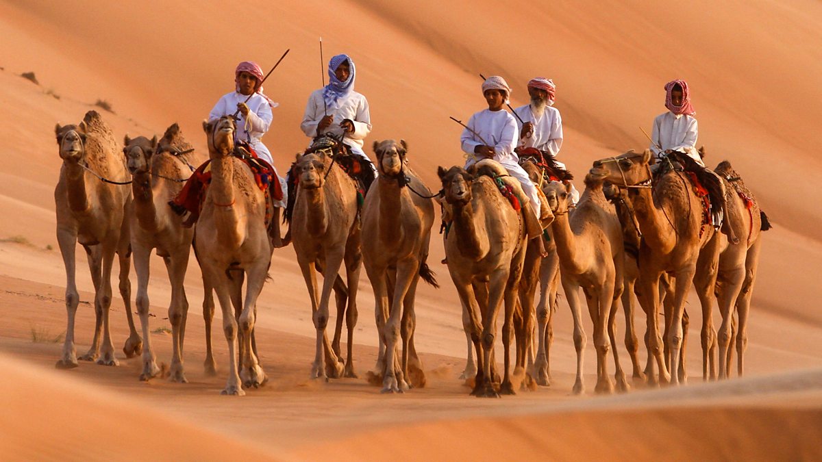 Arabian Sand Goggles