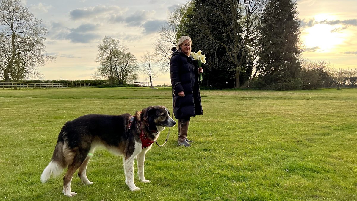 bbc-radio-4-best-of-today-jojo-moyes-my-winter-walk