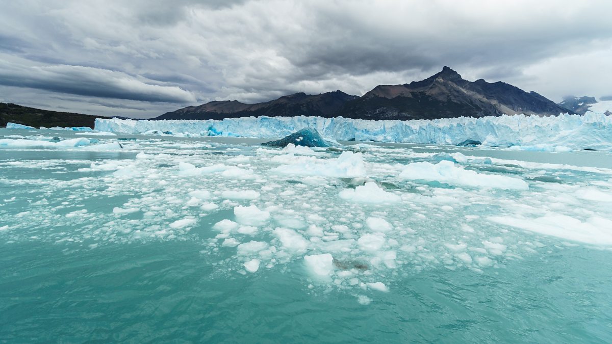 bbc-world-service-crowdscience-bullying-parrots-and-glacial-cocktails