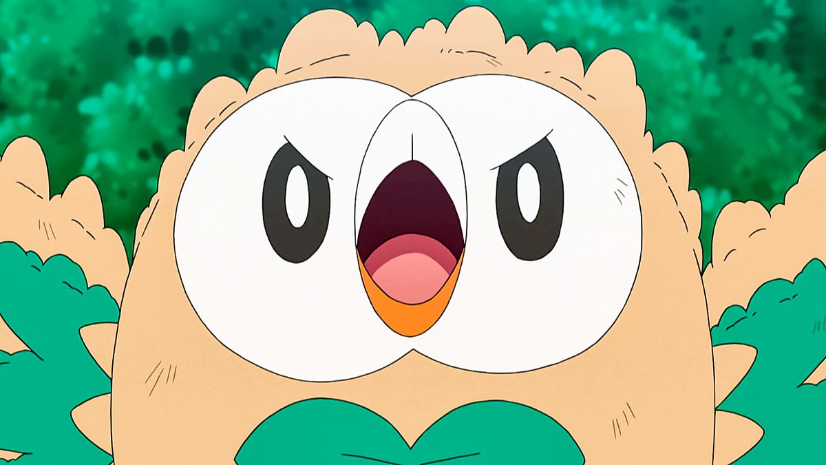 Rowlet in Training  Pokémon the Series Sun  MoonUltra Legends   Official Clip  YouTube