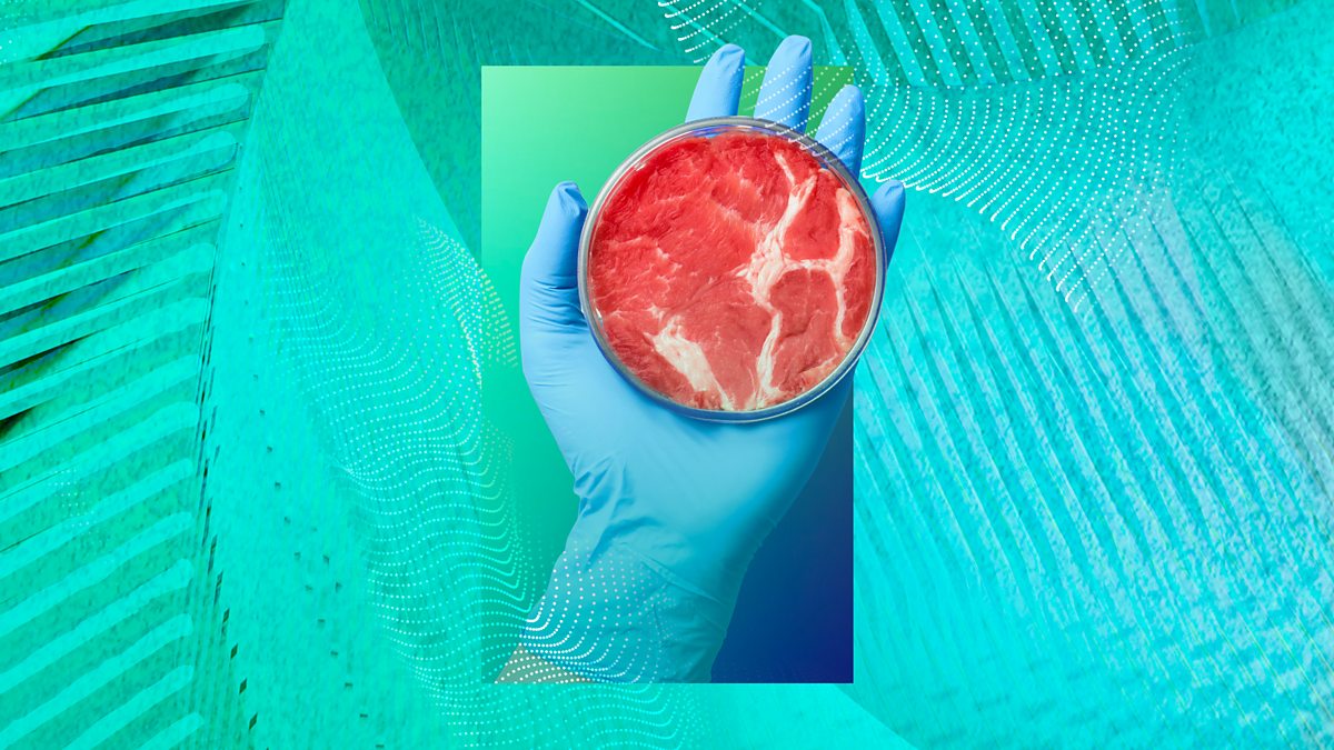 BBC Would you consider eating labgrown meat?